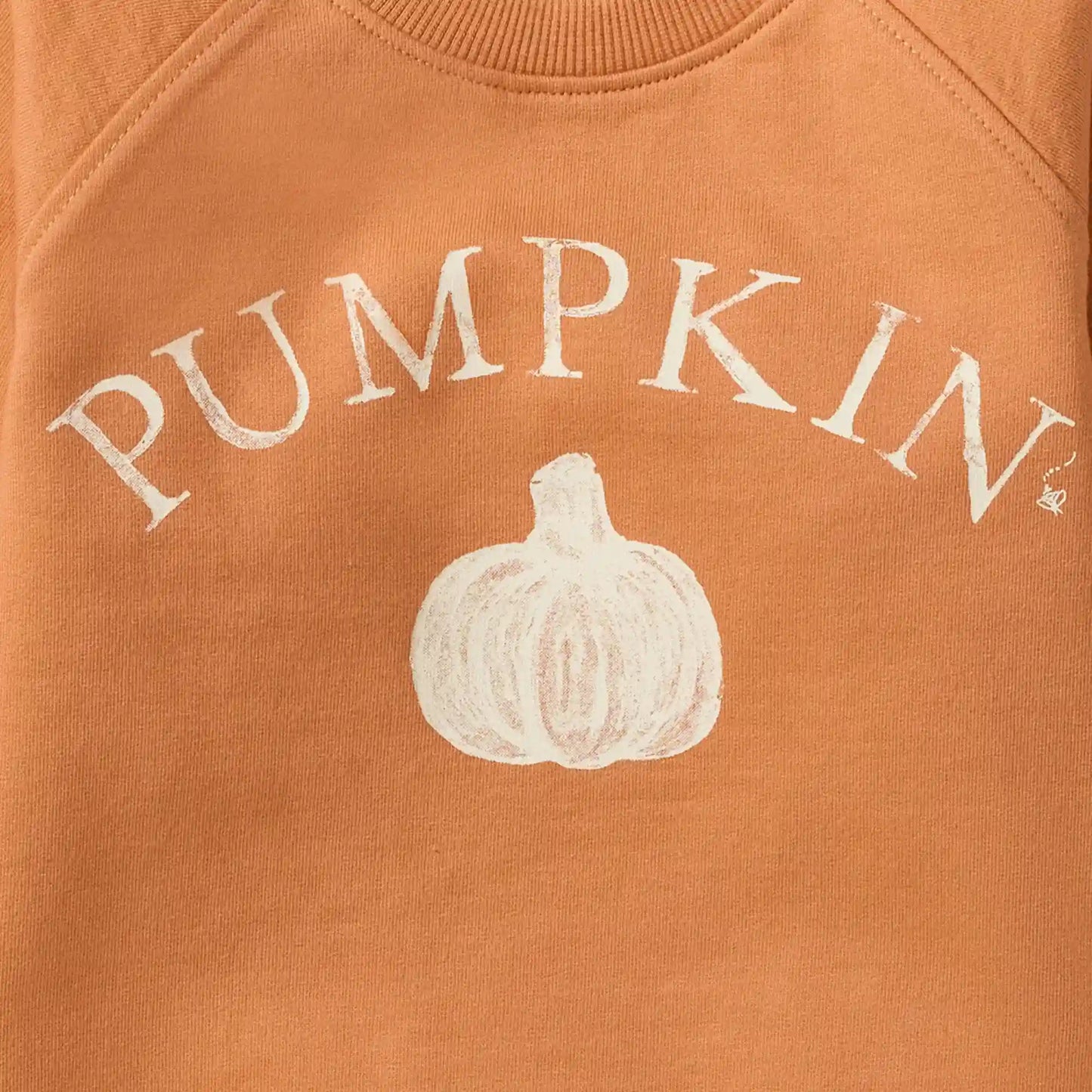 Pumpkin Organic Cotton Sweatshirt