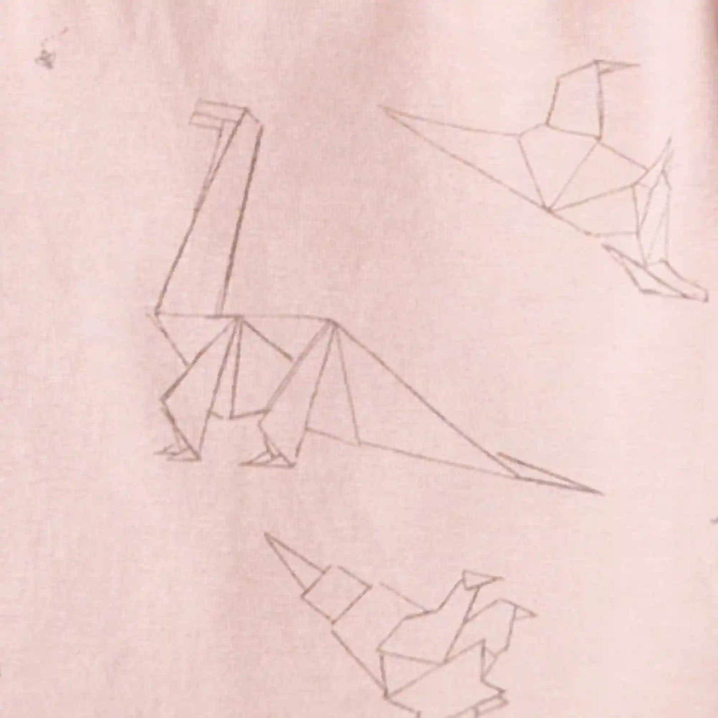 Origami Dinos Girl Tee & Pants Set