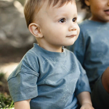 Origami Dinos Boy Tee & Shorts Set