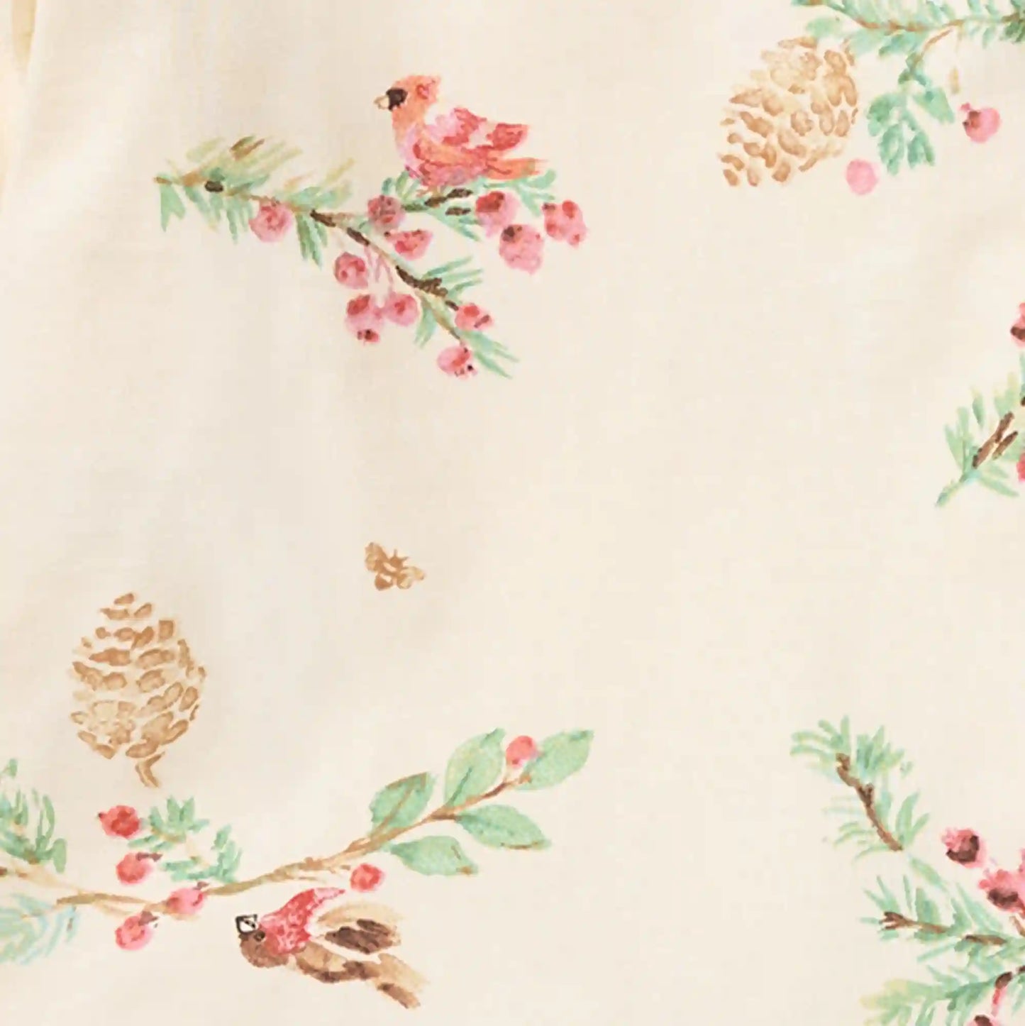 Winter Birds Dress Set