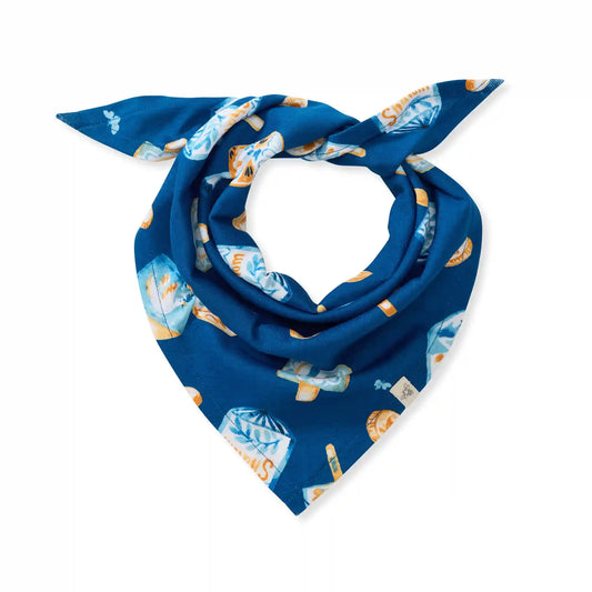 Dreidel Family Matching Pet Bandana