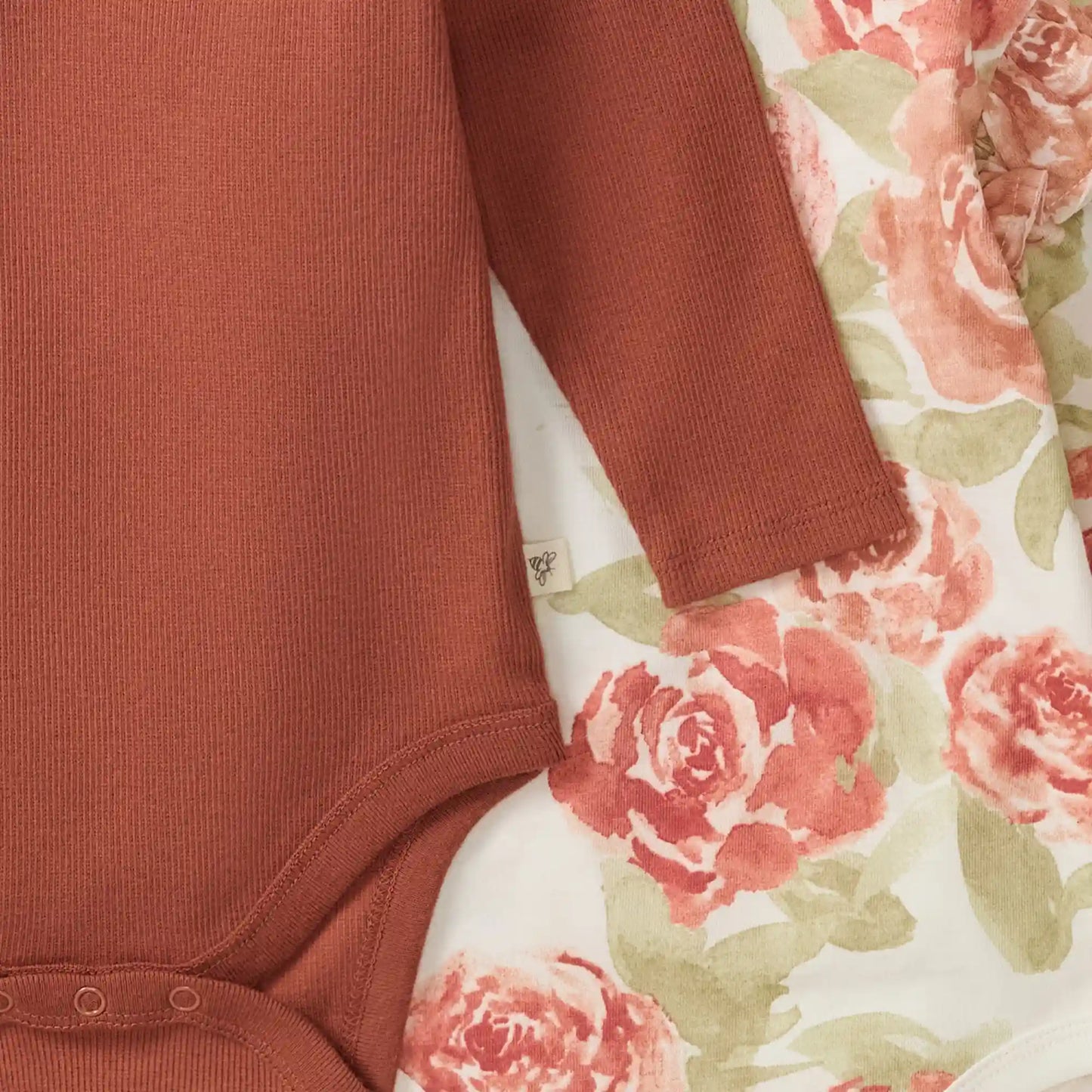 Autumn Rose Baby Girl Bodysuits 2 Pack