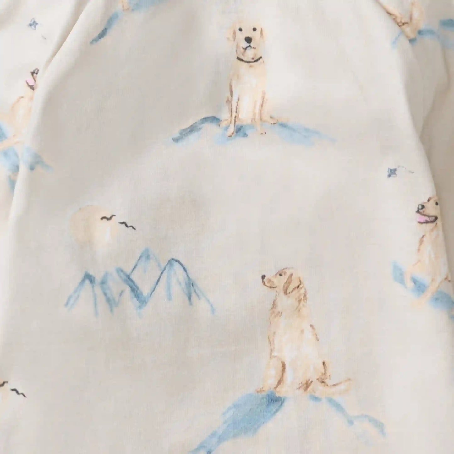 Top Dog Baby Boy Bodysuits 2 Pack