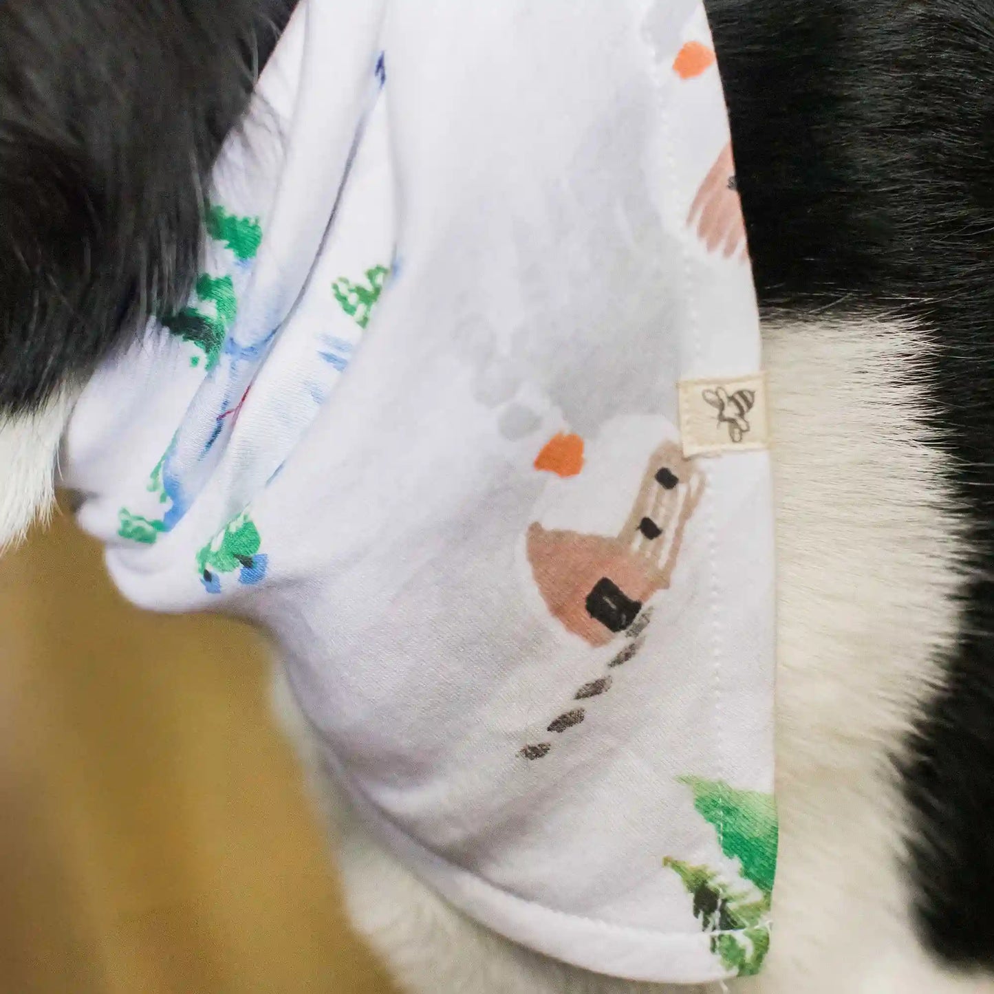 Ski Slopes Family Matching Pet Bandana