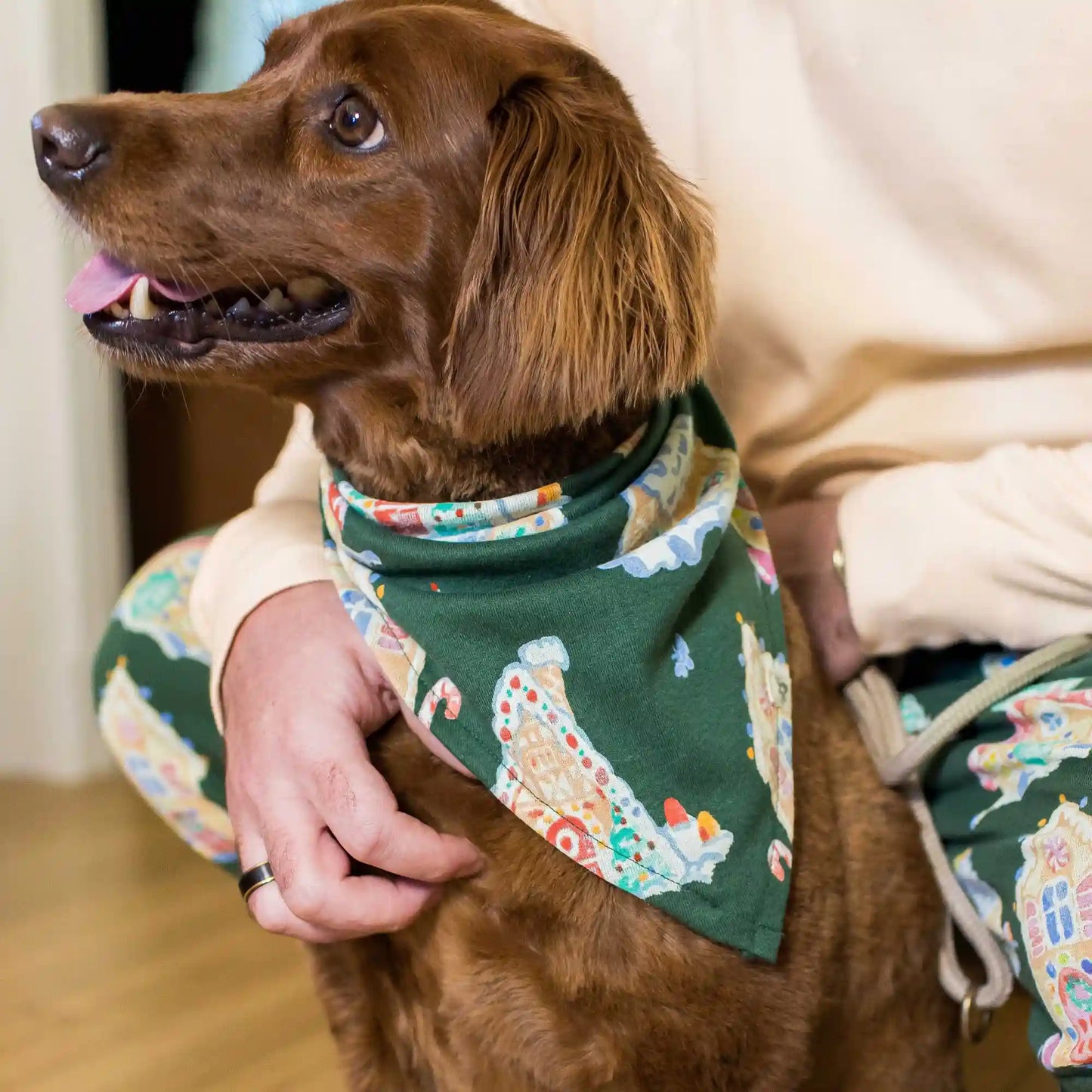 Gingerbread Houses Family Matching Pet Bandana