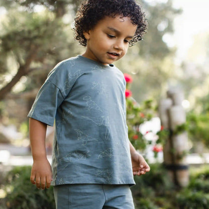Origami Dinos Boy Tee & Shorts Set