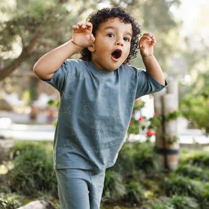 Origami Dinos Boy Tee & Shorts Set