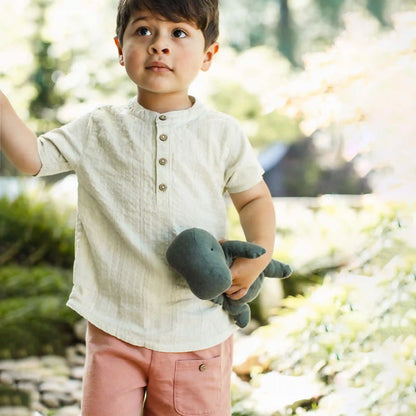 Seersucker Boy Shirt & Shorts Set