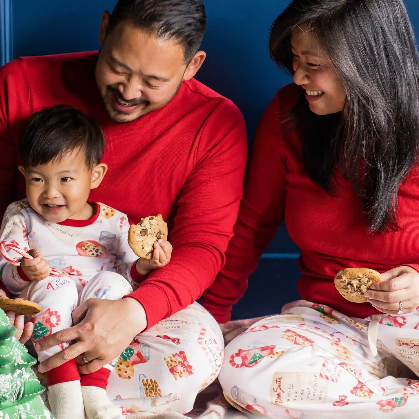 Cookies For Santa Family Matching Organic Cotton Men's PJ Set